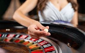 d9wlq Match Live Odds
